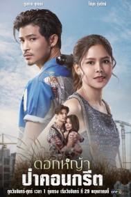 A Wildflower in the City